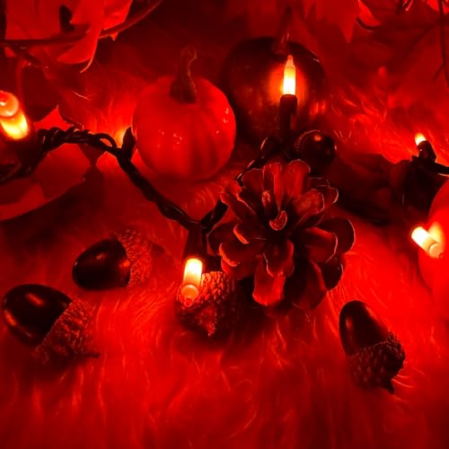 HISHINY Orange Halloween Lights,100 Count Incandescent Lights String with Black Wire,Ideal Outdoor Indoor Halloween Decorations Lights for Patio Home