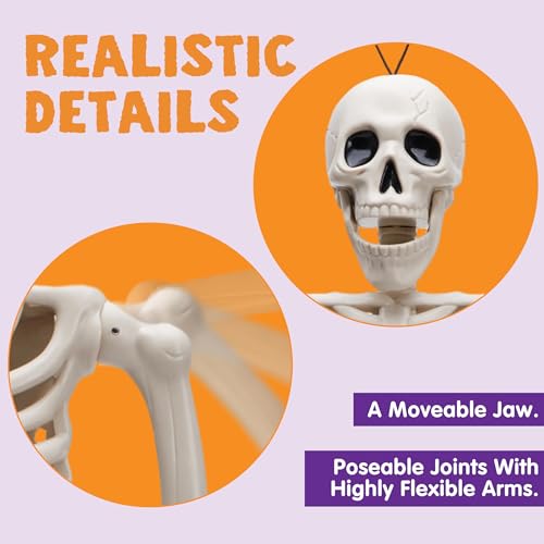 JOYIN 5 PCS Posable Halloween Skeleton Decor 16 Inches, Full Body Posable Joints Hanging Skeletons for Halloween Decorations, Graveyard Props
