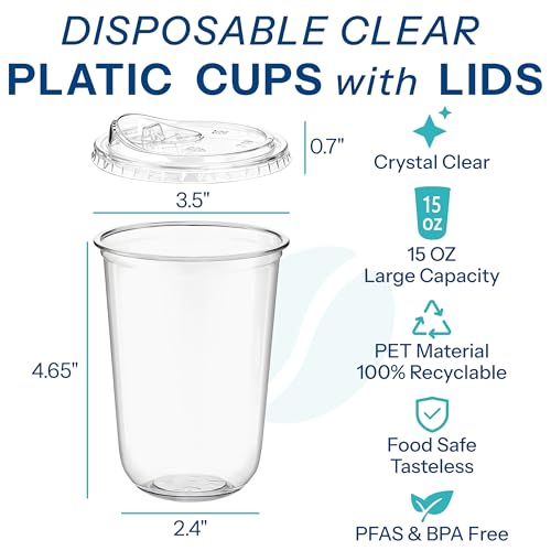 Homestockplus 25 Pack 15 oz BPA-Free Clear Plastic Cups with Strawless Sip Lids - Leak-Proof Round Bottom Disposable Iced Coffee Cups for Kids, To-Go Cold Drinks, Ideal for Small Parties & Daily Use