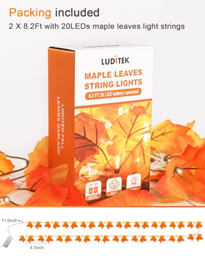 2-Pack Lighted Fall Garland, Total 16.4ft 40 LED Autumn String Lights