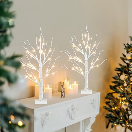 PEIDUO Christmas Decorations, 2FT Birch Tree with LED Lights, Warm White Light up Tree Lamp, Artificial Trees for Home Table Inside, Battery Powered