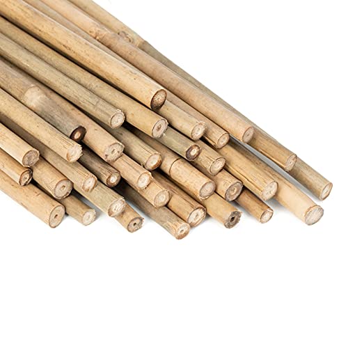 GAGINANG Plant Stakes Natural Garden Bamboo Sticks for Indoor and Outdoor, 20pcs for Tomatoes, Beans, Potted Plants - 18 inches
