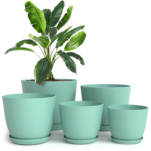 Utopia Home - Plant Pots Indoor with Drainage - 7/6.6/6/5.3/4.8 Inches Flower Pots for Indoor Planter - 5 Pack Plastic Planters - Ideal