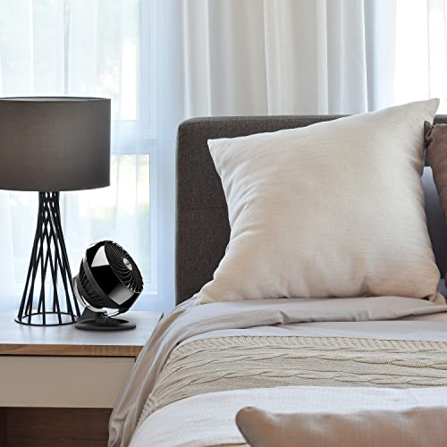Vornado 160 Personal Air Circulator, Small Fan for Dorm, Desk, and Bedside, Powerful Personal Cooling, 2 Speed Settings, Vortex Air Circulation, Chrome Glide Bar, Multi-Directional Airflow, Black