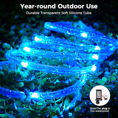 Minetom Color Changing Rope Lights Outdoor, 33FT 100 LED Rope Light