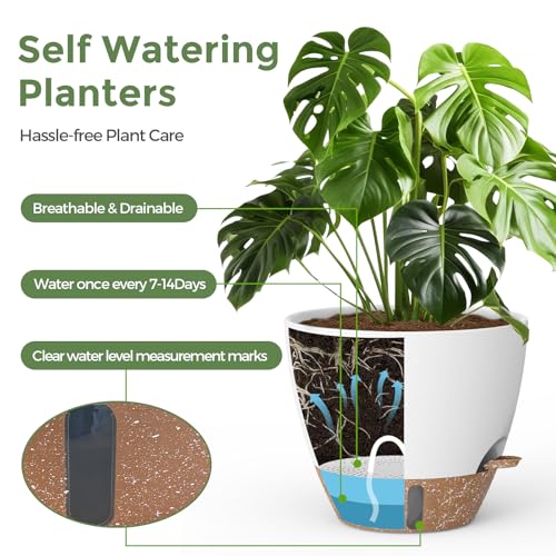 Plant Pots, 12" 10" 6" 8" Inch Self Watering Pots with Water Level Indicator, Set of 5 Flower Pots Indoor with Drainage Holes, Modern Planters for Indoor Outdoor Plants, Room & Office Décor