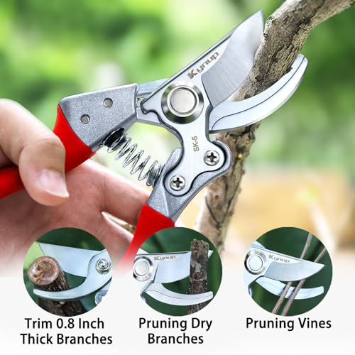 Kynup 8.6" Pruning Shears for Gardening, Garden Shears, Clippers, Garden Scissors, Pruners for Gardening, Heavy Duty Gardening Tools, Stainless Steel Pruners