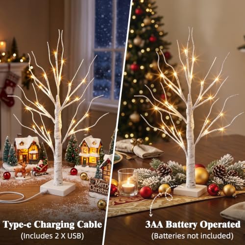 PEIDUO Christmas Decorations, 2FT Birch Tree with LED Lights, Warm White Light up Tree Lamp, Artificial Trees for Home Table Inside, Battery Powered