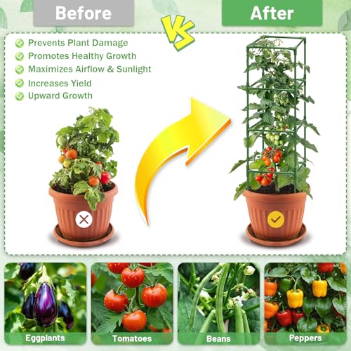 Legigo 6 Pack Square Tomato Cages- 60 Inch Heavy Duty Tomato Trellis for Climbing Plants Outdoor, Tomato Plant Support Stakes Cage Garden Trellis for Garden Raised Garden Bed Cucumbers Vegetables