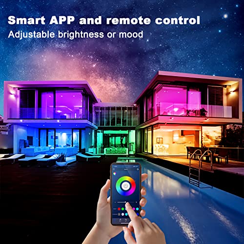 dalattin Led Strip Lights 200ft (2 Rolls of 100ft), Led Lights for Bedroom with App & Remote Control, 24V Led Lights Strip for Room & Festival
