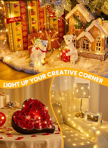 66FT 200 LED Fairy Lights Plug in with Remote, 8 Modes Twinkle Lights