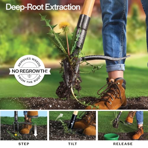 Weed Puller Tool, Stand Up Heavy Duty Weed Remover Tool with Long Handle , Foot Platform Design - 4 Claw Steel Head Weeder Tool, Bamboo Garden Hand Weeding Tool, Smoothly Remove Weeds Without Kneeling