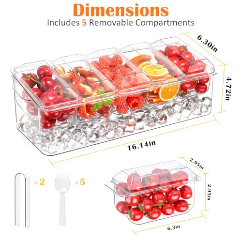 ARSTPEOE Condiment Tray, Chilled Condiment Server for Home, Party, Celebration, Bar Garnish Holder on Ice, Bar Accessories Fruit and Salad with Removable Trays and Lids (5 Spoons & 2 Tongs)