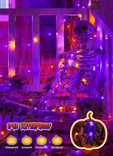 Brightown 2 Pack Solar Halloween Lights, 144ft 400 LED, Orange & Purple