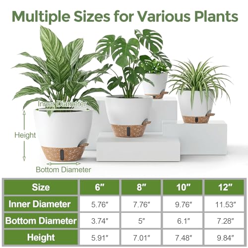 Plant Pots, 12" 10" 6" 8" Inch Self Watering Pots with Water Level Indicator, Set of 5 Flower Pots Indoor with Drainage Holes, Modern Planters for Indoor Outdoor Plants, Room & Office Décor