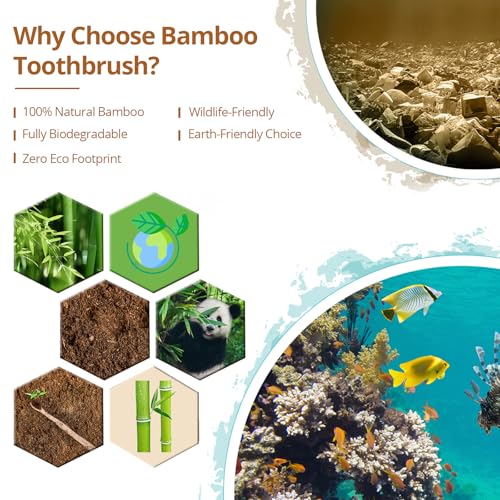 Virgin Forest Bamboo Toothbrushes 10 Pack, Biodegradable Compostable Soft Toothbrush, Natural Eco-Friendly Bamboo Toothbrush, BPA Free Zero Waste Oral Care for Adults & Kids