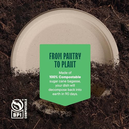 100% Compostable Paper Plates, Heavy Duty Disposable Plates 125-Pack 9 Inch Plates - Eco-Friendly, Biodegradable Sugarcane Bagasse - Unbleached Brown