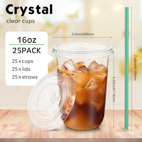 Baderke 25 Set Plastic Cups with Lids and Straws, Disposable Plastic Iced Coffee Cup for Cold Beverage Juice Smoothie Crystal for Coffee Shops Party Catering(Clear,16 oz)