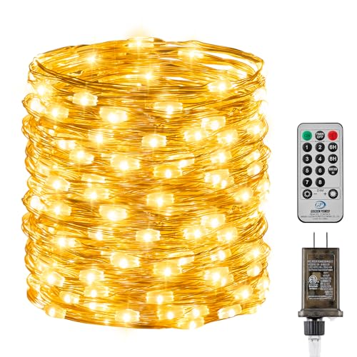 66FT 200 LED Fairy Lights Plug in with Remote, 8 Modes Twinkle Lights