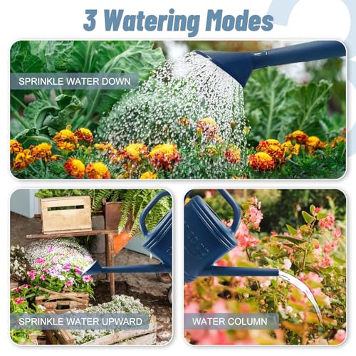2 Gallon Watering Can, Outdoor Watering Can for Plants, Garden Water Can with Removable Long Spout and Stainless Steel Sprinkler Head, Large Water Can for Greenhouse (Dark Blue, 2 Gallon)