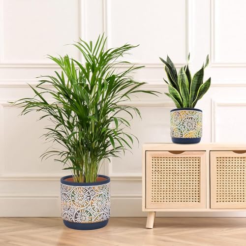 DeeCoo 3 Piece Ceramic Plant pots Indoor Pots Set with Drainage Holes, 5.7/4.7/3.5/inch, Modern Decorative pots Outdoor Plants Lilies, Cacti, Succulents, Snakes, and Bamboo (Blue)