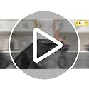 Ultrasac Heavy Duty 55 Gallon Clear Trash Bags - (Value 50 Pack) - 1.2 MIL equivalent Industrial Strength Plastic 37" x 54" for 50-55 Gal Cans -Fits Toter, Rubbermaid Brute, Carlislie Bronco etc.