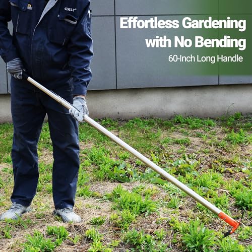 2-in-1 Garden Hoe and Weed Puller Rake, 60 Inch Adjustable Long Handle Weeding Tool Heavy Duty Spring Steel Head with Sand Texture Finish, Weed Remover for Garden, Yard, Lawn, Driveway