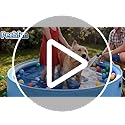 79'' Dog Pool with Sprinkler, Foldable Dog Pools for Large Dogs, 2-in-1 Non-Slip Swimming Pool for Dogs & Kids, Heavy Duty Hard Plastic Pet Bathing Tub for Outdoor Backyard, Blue