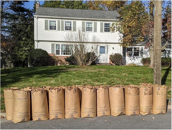 30 Gallon Lawn & Leaf 2-Ply Heavy-Duty Yard Waste Compost Refuse Paper Bags, Eco-Friendly, Tear Resistant, Self Standing, Biodegredable, Made in USA, 10 Count