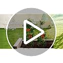 3 Pack Tomato Cages, 51.2in Tomato Plant Support Stakes Heavy-Duty, Garden Tomato Cages & Trellis for Climbing Vegetables, Tomatoes, Peppers, and Potted Plants(3)