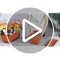 Window Box Planter, 7 Pack Plastic Vegetable Flower Planters Boxes 17 Inches Rectangular Flower Pots with Saucers for Indoor Outdoor Garden, Patio, Home Decor (Red)