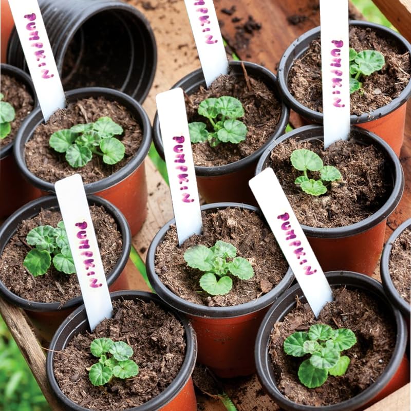 Plant Nursery Pot/Pots 100 Pcs 4" Plastic Small Plants Pots Flower Pots Seed Starting Pots for Plants Indoor Outdoor Seedling pots (with 100 Plant Labels)