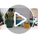 4 Inch Plant Pots, 6 Pack Indoor Flower Pots, Planters with Drainage Holes and Trays for Orchids, Violets, Succulents, Herbs, and Other Plants,Corolful