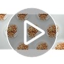 Stock Your Home 9-Inch Paper Plates Uncoated, Everyday Disposable Plates 9" Paper Plate Bulk, White, 500 Count