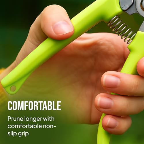 2-Pack Stainless Steel Gardening Scissors, Pruning Shears and Clippers for Gardening