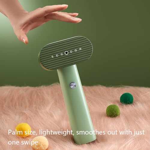 G6 Steamer for Clothes Portable 2-in-1 Travel Steamer Iron for Clothes, Just 0.7lbs Lightly, 10 Minutes of Continuous Steam, 900W Light Steamer for travel and home (green)