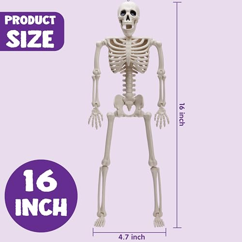 JOYIN 5 PCS Posable Halloween Skeleton Decor 16 Inches, Full Body Posable Joints Hanging Skeletons for Halloween Decorations, Graveyard Props