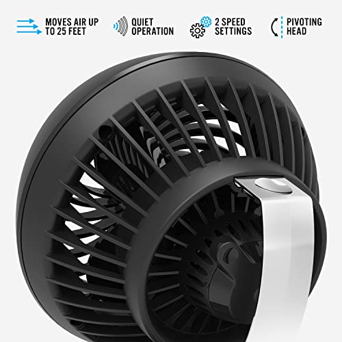 Vornado 160 Personal Air Circulator, Small Fan for Dorm, Desk, and Bedside, Powerful Personal Cooling, 2 Speed Settings, Vortex Air Circulation, Chrome Glide Bar, Multi-Directional Airflow, Black