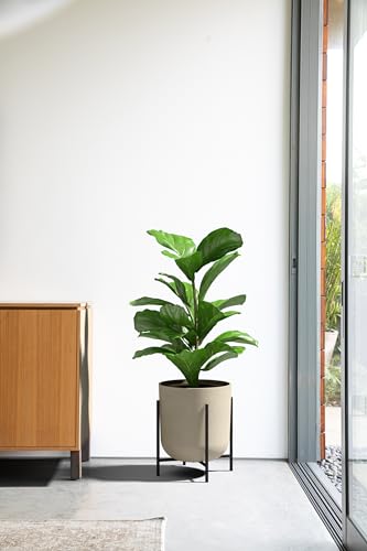 Veradek Mason Series Raised Lima Planter - Round Planter for Patio/Balcony | Plastic-Stone Composite w/Metal Plant Stand | Modern Décor for Plants