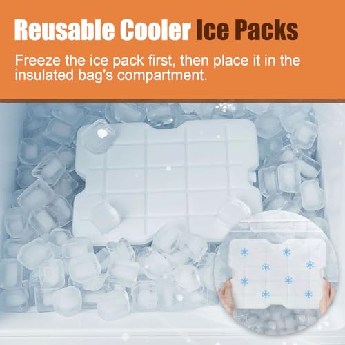 Snackle Box Container with Ice Pack, 304 Stainless Steel Divided Serving Tray, Snacklebox with Insulated Bag, 8 Compartment Platter Box with Lid and Handle for Beach, Road Trip, Boat Days, Pool Party
