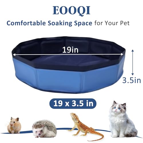 Eooqi Foldable Bearded Dragon Bath Tub, Collapsible Reptile Bath Pool for Lizards, Hedgehogs & Small Pets, Portable Non-Slip Water Tub (Blue, 19 x 3.5 in) | Reinforced Bottom for Added Stability, Ideal for Regular Reptile Grooming