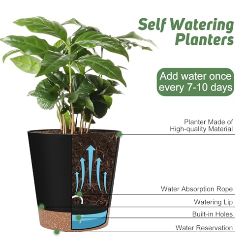 Indoor Self Watering Planters with Drainage Holes and Saucers, 8, 7, 6.5, 6, 5.5, 5 Inches, Black, 6 Pots