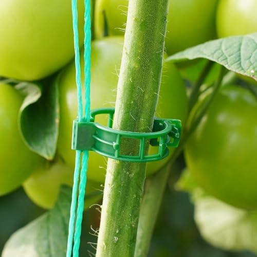 CIQIYO® 100 Pcs Plant Support Clips,Plastic Clips for Securing Plants,Tomato Vine Clips,Plant Fixing Clips,Garden Clips for Climbing Plants,Grape and Vine Vegetables (100, Green)