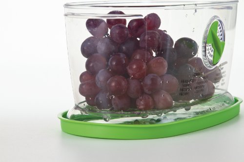 PrepSolutions Fresh Fruit & Vegetable Keeper, Green – Airtight Container with Vent for Prolonged Freshness