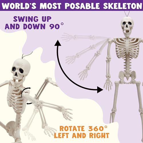 JOYIN 5 PCS Posable Halloween Skeleton Decor 16 Inches, Full Body Posable Joints Hanging Skeletons for Halloween Decorations, Graveyard Props