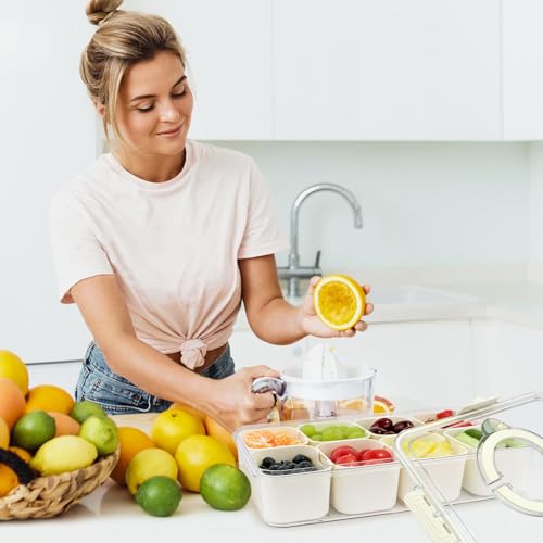 TAROSE Snackle Box Container, 8 Compartments Divided Serving Tray with Lid and Handle, Portable Snack Box Containers for Veggie Tray Charcuterie Boxes Fruit Storage Candy Organizer (8 Compartments)