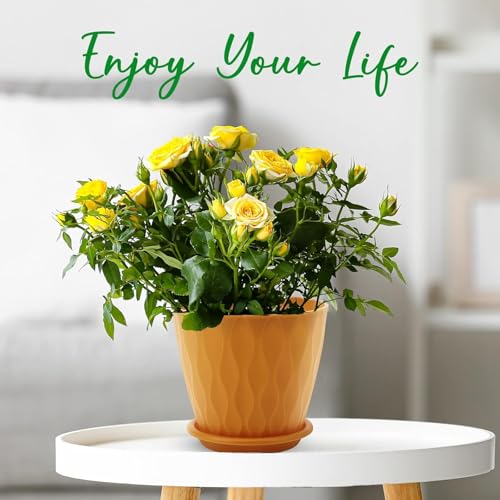 6 inch Plant Pots, 5 Pack Flower Pots Outdoor Indoor, Planters with Drainage Holes and Tray Saucers（Multicolor）