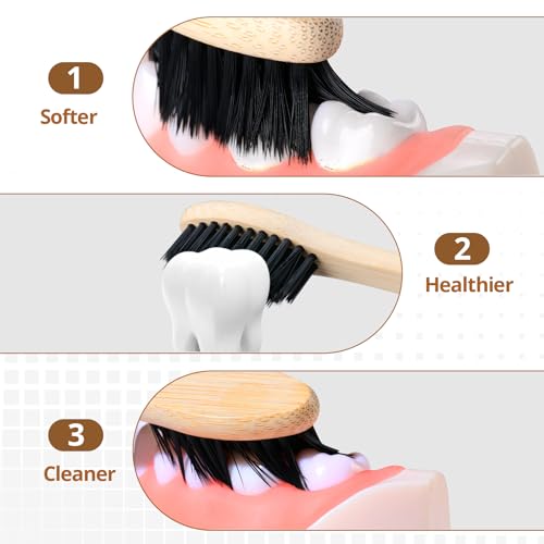 Virgin Forest Bamboo Toothbrushes 10 Pack, Biodegradable Compostable Soft Toothbrush, Natural Eco-Friendly Bamboo Toothbrush, BPA Free Zero Waste Oral Care for Adults & Kids