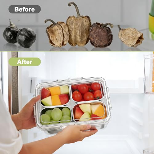 Snackle Box Container,Clear Divided Serving Snack Tray with 4 Removable Stainless Steel Containers for Fruit Veggie Candy,Snack Tray with Lid Leak-Proof for Wet/Dry Food-Perfect for Beach,Picnic
