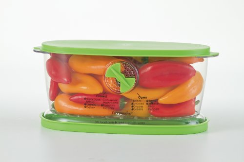 PrepSolutions Fresh Fruit & Vegetable Keeper, Green – Airtight Container with Vent for Prolonged Freshness
